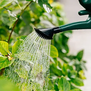Hot Selling 3L 5L 8L 10L 12L 14L Plastic Garden Water Can