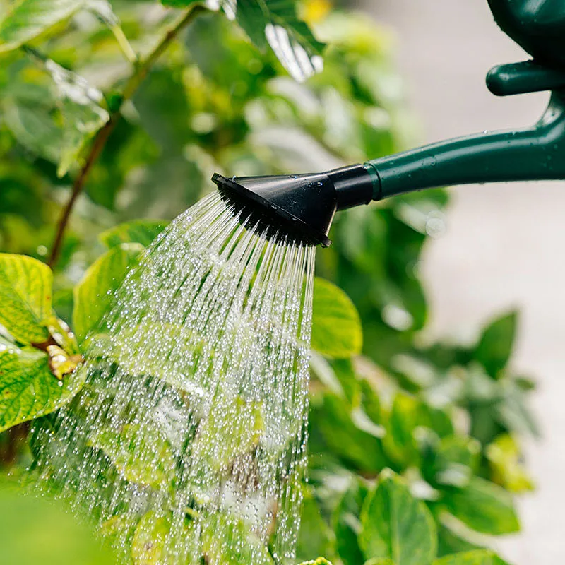 Hot Selling 3L 5L 8L 10L 12L 14L Plastic Garden Water Can
