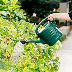 Hot Selling 3L 5L 8L 10L 12L 14L Plastic Garden Water Can
