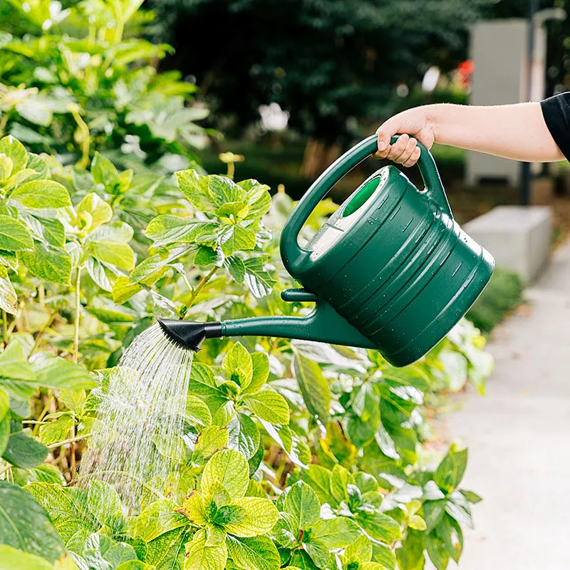 Hot Selling 3L 5L 8L 10L 12L 14L Plastic Garden Water Can