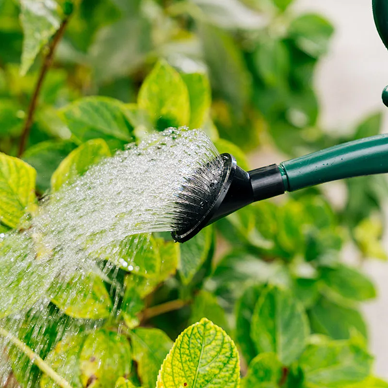 Hot Selling 3L 5L 8L 10L 12L 14L Plastic Garden Water Can