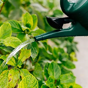 Hot Selling 3L 5L 8L 10L 12L 14L Plastic Garden Water Can