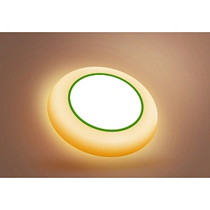 15W LED Disk Light 5CCT Nachtlicht LED Downlight