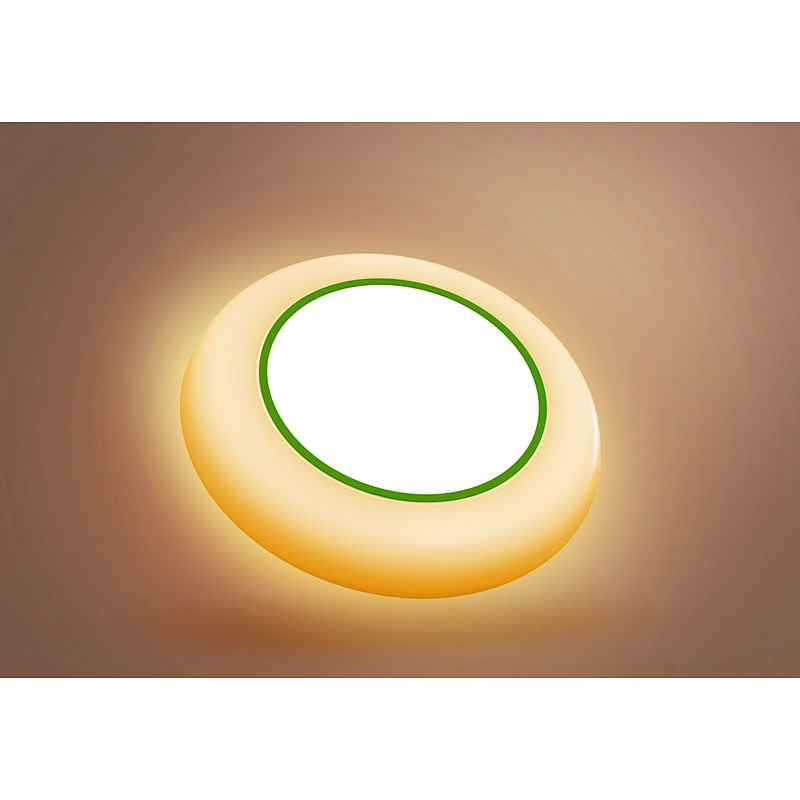 15W LED Disk Light 5CCT Night Light LED Downlight