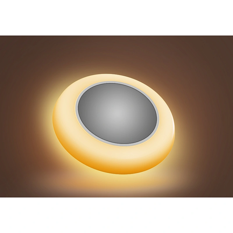 15W LED Disk Light 5CCT Night Light LED Downlight