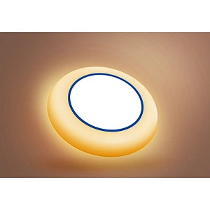 15W LED Disk Light 5CCT Night Light LED Downlight