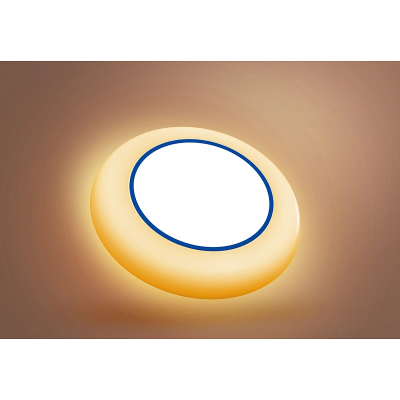 15W LED Disk Light 5CCT Night Light LED Downlight