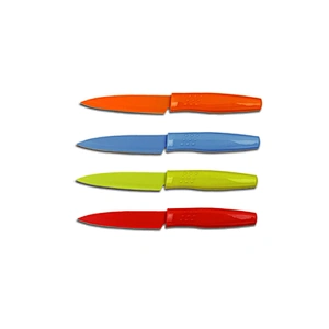 Cheap stainless steel paring knife fruit knife with plastic handle