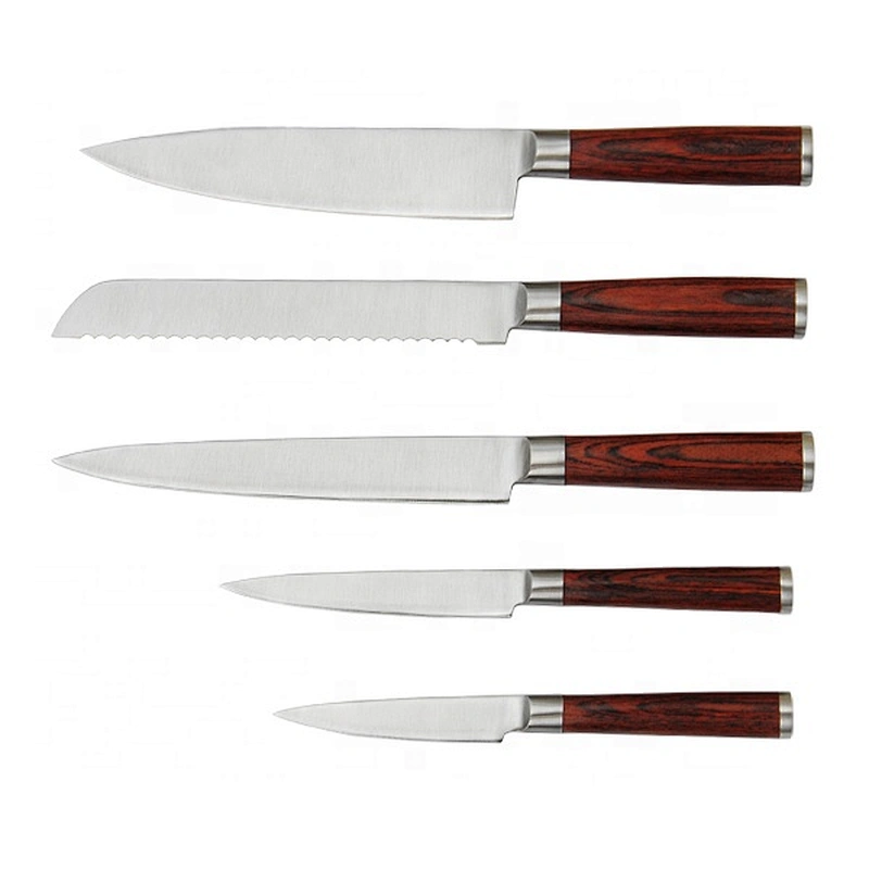 5 pcs stainless steel Kitchen knife set with Pakka wood handle