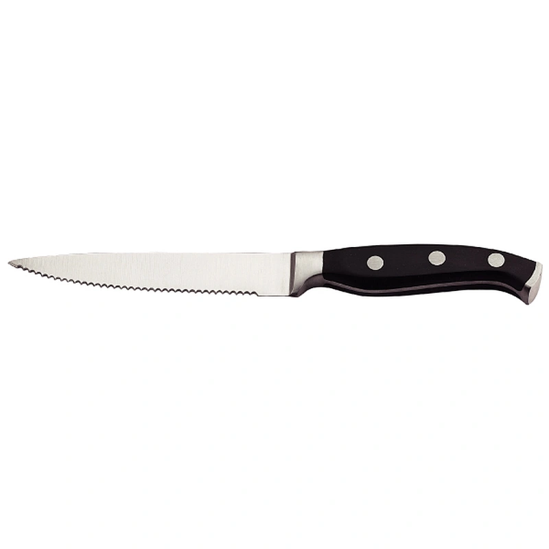Professional edged skill sawtooth steak knife