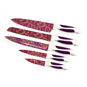Plastic handle Cutting Foods Kitchen knife Set with patters on the blades