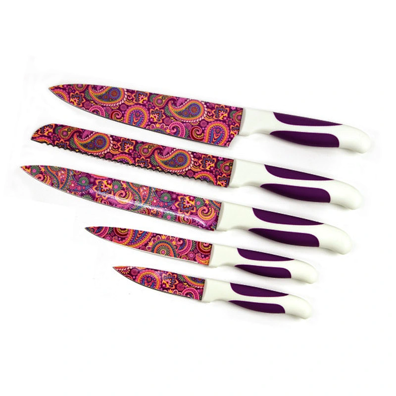 Plastic handle Cutting Foods Kitchen knife Set with patters on the blades