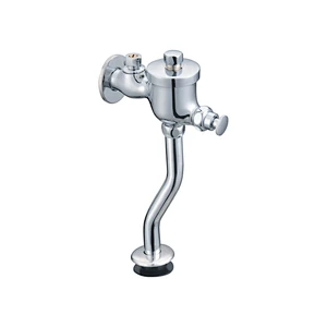 Push button flush valve