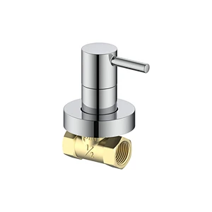 Concealed check valve