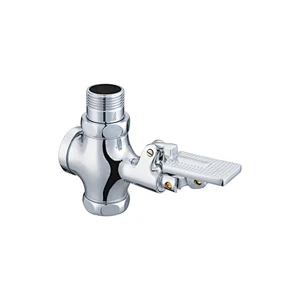 Push button flush valve