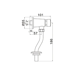 Push button flush valve