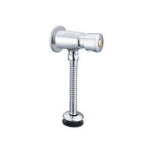 Push button flush valve
