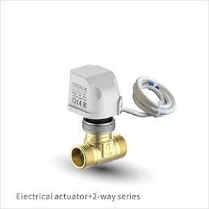 Electrical actuator