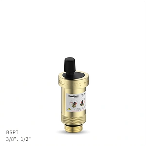 Automatic air vent Valve