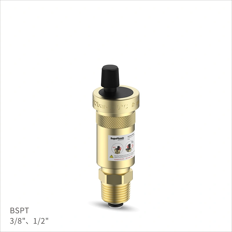 Automatic air vent Valve