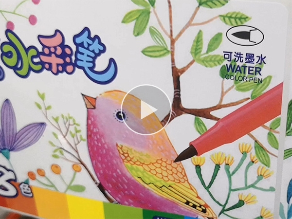 washable color pen