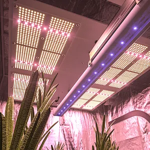 LED grow lights, full spectrum LED grow lights, hydroponic indoor plants, vegetables and flowers