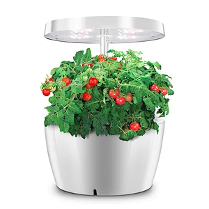 Click and Grow Smart Garden Harvest Indoor Hydroponic Garden