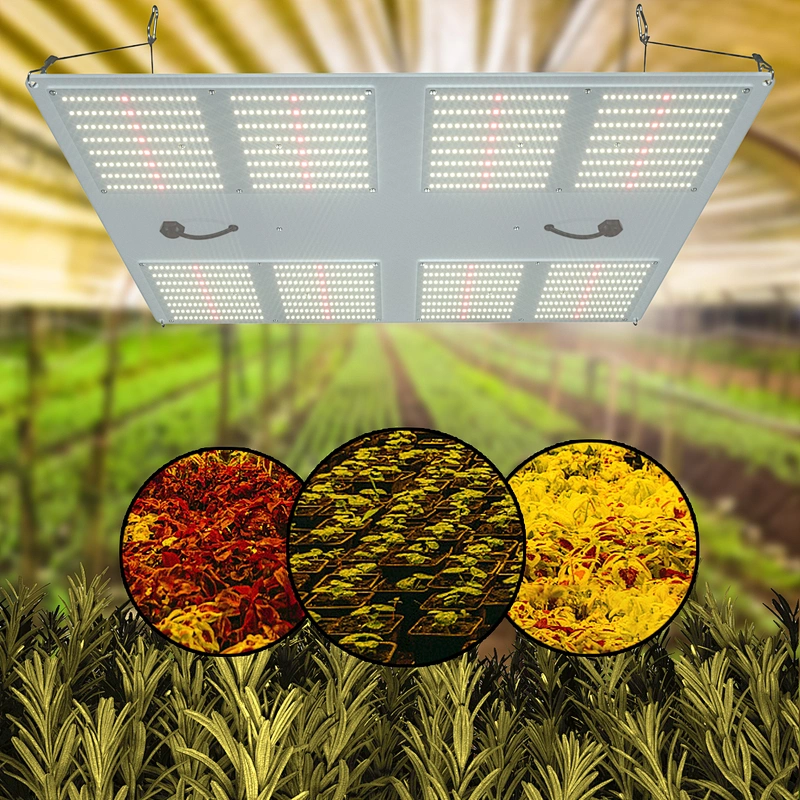 Sunlight Samsung LM301B Board AQ600 Hydroponic LED Grow Light for Indoor Plants