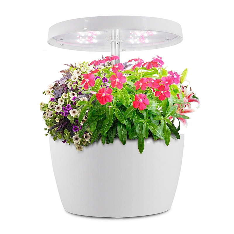 Click and Grow Smart Garden Harvest Indoor Hydroponic Garden
