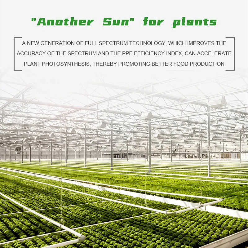 600W Led Grow Light,Led Agromax Grow Light Strip,King Led Grow Light