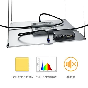 Led Lights Watt Indoor Samsung Greenhouse Full Spectrum For 1000 300W Diy Lm301h Controller Qb Shenzhen 480W Grow Light