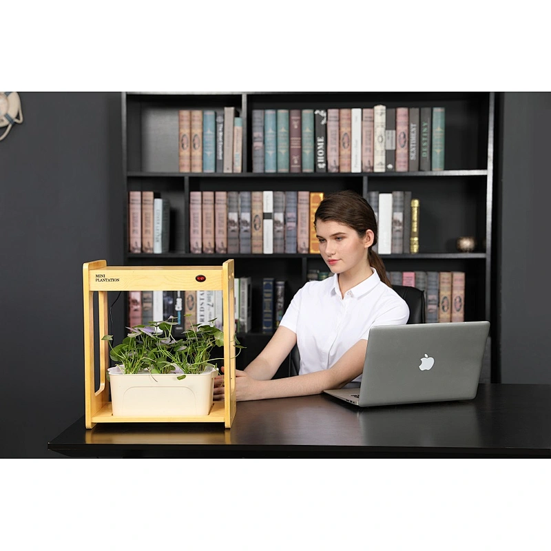 Indoor Gardening Growth Light With Bamboo Frame Plant Grow Box Cabinet Hydroponic Planter Water Hydroponic Garden System Kit