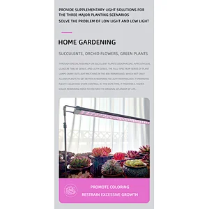 Planting Machine Adjustable Succulent Fill Light Plug-in Household Light Breeding Height Coloring Micro Landscape Light LED IP65