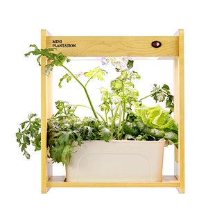Indoor Gardening Growth Light With Bamboo Frame Plant Grow Box Cabinet Hydroponic Planter Water Hydroponic Garden System Kit
