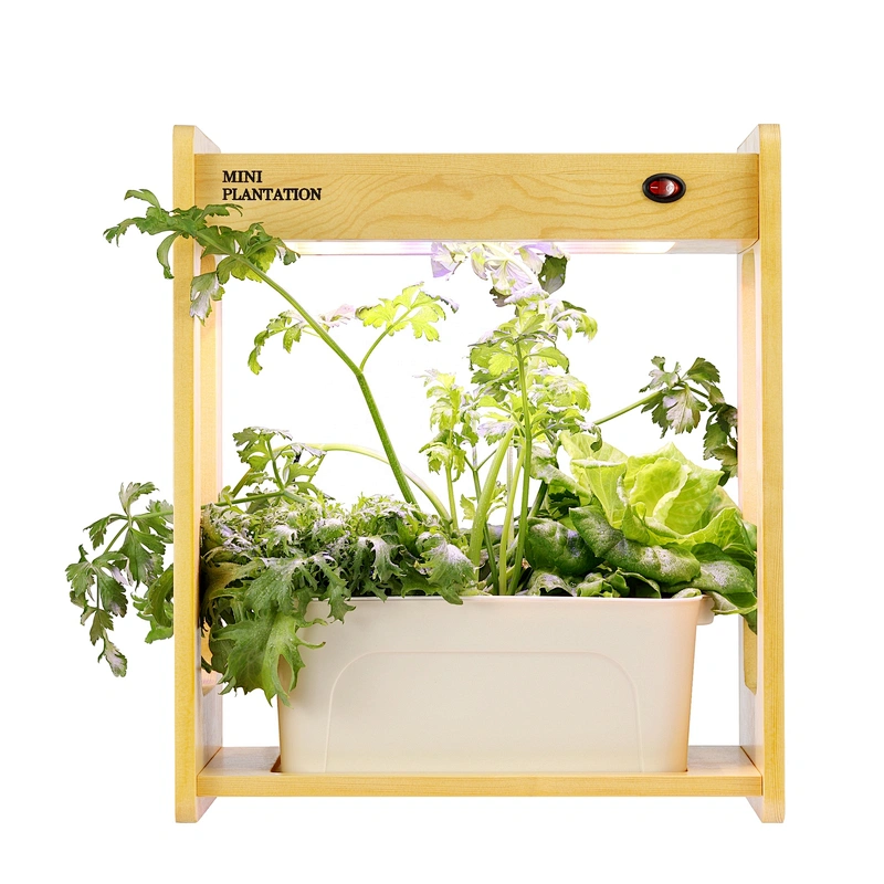 Indoor Gardening Growth Light With Bamboo Frame Plant Grow Box Cabinet Hydroponic Planter Water Hydroponic Garden System Kit