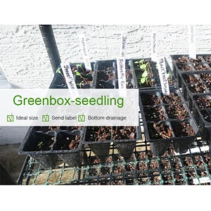 Seedling Starter Trays, 144 Cells: (24 Trays; 6-Cells Per Tray), Plus 5 Plant Labels