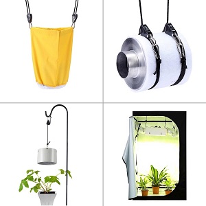 cannabis grow