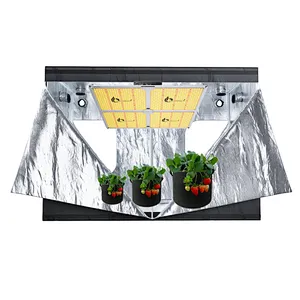 8x8ft 240x240x200cm Big Homebox Complete Greenhouse Indoor Grow Tent
