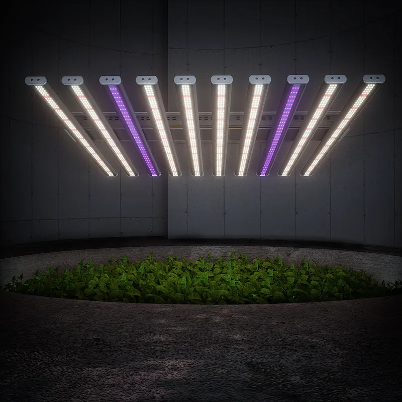 Samsung Led Grow Light, Led Grow Light,led Plant Grow Light VEG Lighting and Circuitry Design ROHS Ce BLOOM Seed Starting 5-year