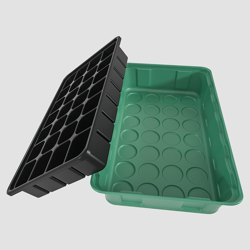 Hot sale germination vegetable plant plastic tray seed Tray with lid