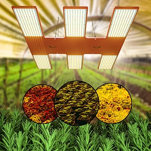 Waterproof Lm301B Hydroponic Vertical Full Spectrum Led Grow Light From China Wholesale Manufacturers