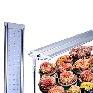 Planting Machine Adjustable Succulent Fill Light Plug-in Household Light Breeding Height Coloring Micro Landscape Light LED IP65