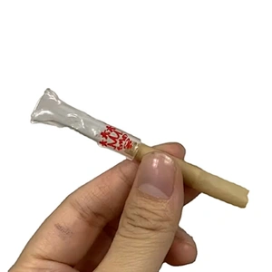 Crucial cane with glass filter