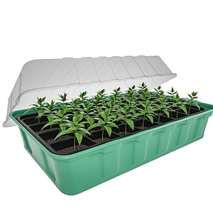 Hot sale germination vegetable plant plastic tray seed Tray with lid
