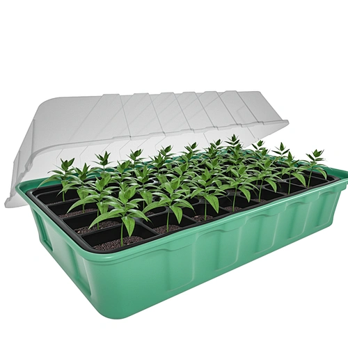 Hot sale germination vegetable plant plastic tray seed Tray with lid