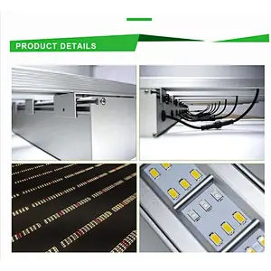 A Fluence Samsung lm301B 301H uv and ir 600w Full Spectrum Led plant Grow Lights Led 1000W Hydroponic bar indoor plants for sale
