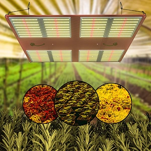 Sunlight Samsung LM301B Board AQ600 Hydroponic LED Grow Light for Indoor Plants