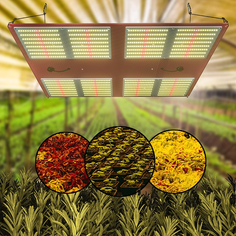 Sunlight Samsung LM301B Board AQ600 Hydroponic LED Grow Light for Indoor Plants