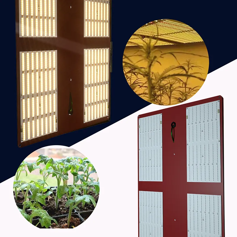 Best New Archibald AQ650 Waterproof Lm301B Hydroponic Vertical Full Spectrum Led Grow Light From China Wholesale Manufacturers