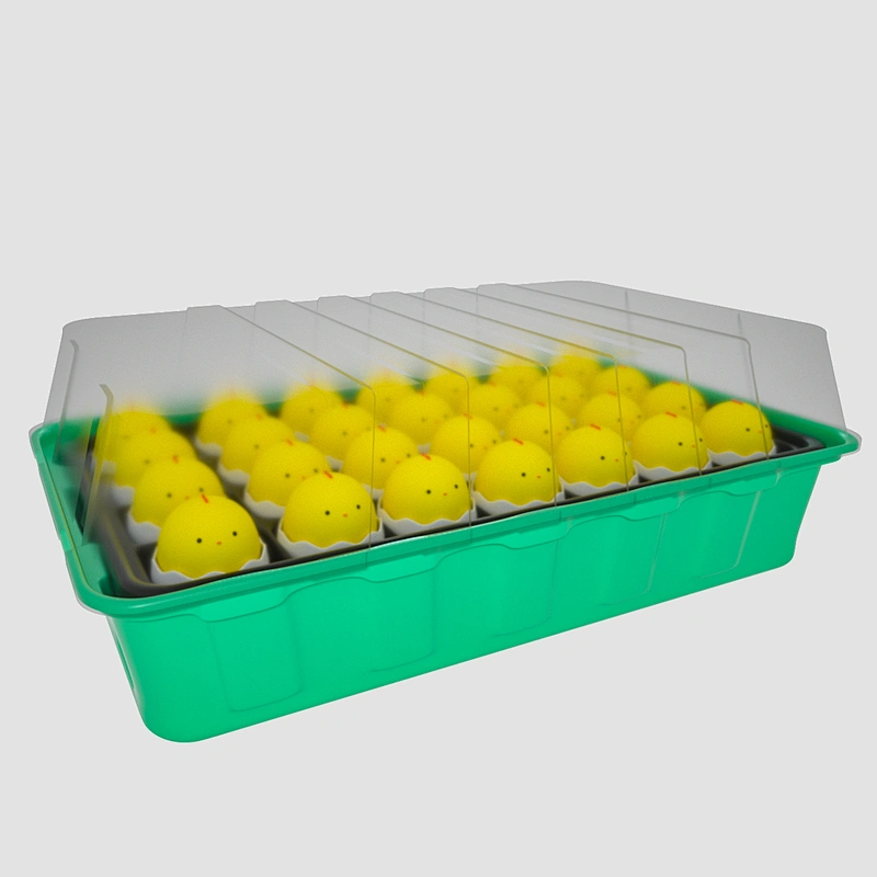Hot sale germination vegetable plant plastic tray seed Tray with lid